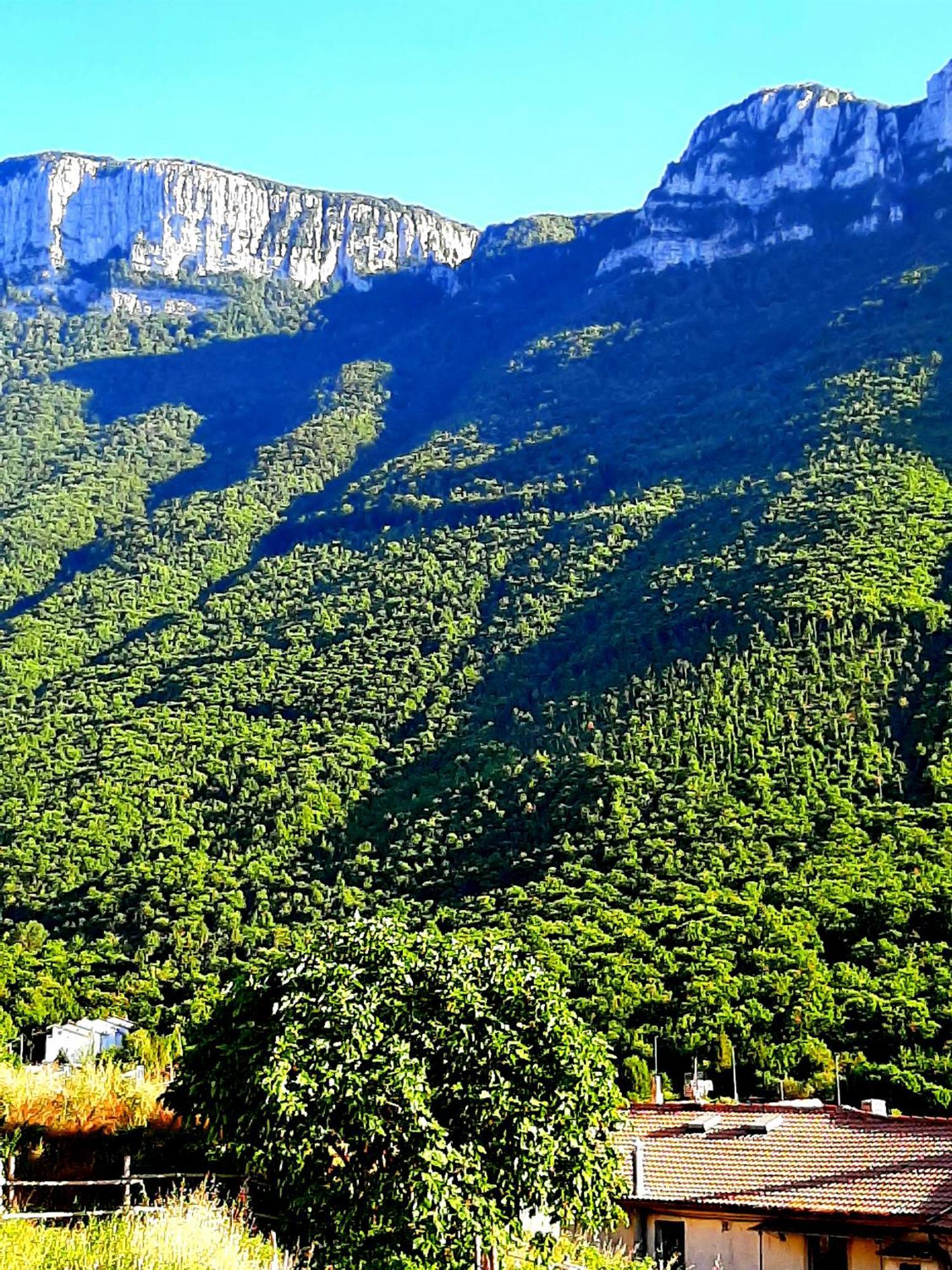 Sapori E Sapere Di Troisi Margherita Sicignano degli Alburni ภายนอก รูปภาพ